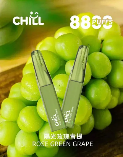 001-06.webp 【鴨嘴獸CHILL】8800口潮流拋棄式小煙|濃郁順喉玩家首選|台灣現貨 7-11貨到