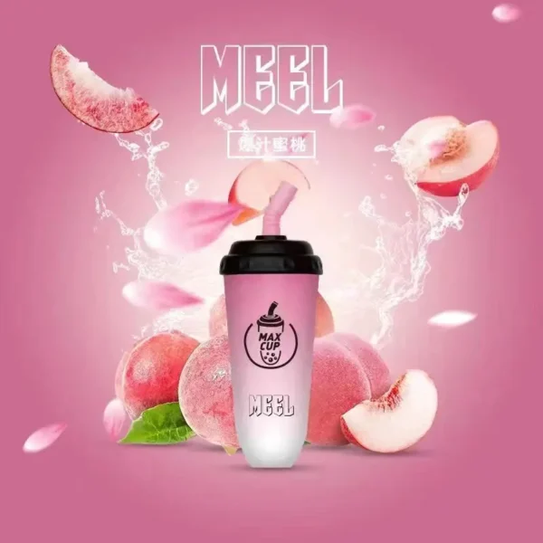 1-2309111J25bZ.webp 【MEEL奶茶杯】6000口拋棄式小煙|15ml澎湃巨量Type-C快充|台灣現貨秒發