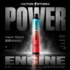 【Vapor Storm】5000口一次性小煙｜10ml大容量Mesh網芯｜台灣現貨秒發