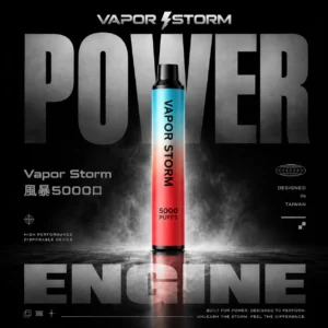 ChatGPT-Image-2026年6月18日-上午02_51_17.webp 【Vapor Storm】5000口一次性小煙|10ml大容量Mesh網芯|台灣現貨秒發