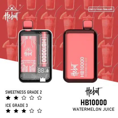 【Hebat 喜貝】10000口｜極致濃郁快充拋棄式小煙｜全台現貨 秒發