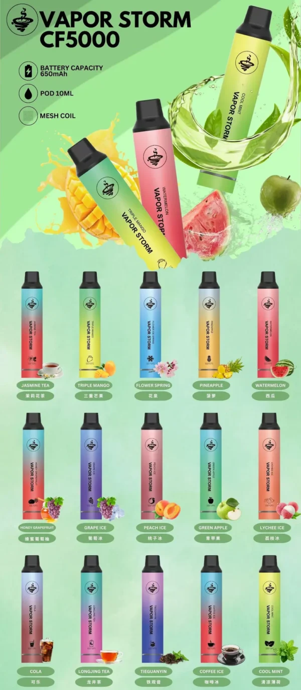 【Vapor Storm】5000口一次性小煙｜10ml大容量Mesh網芯｜台灣現貨秒發