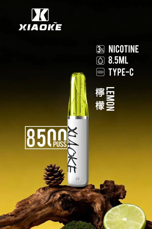 d185d7e28615e84aca893d861a0e04f4-1024x1536.jpg 【XIAOKE 梟客】8500口拋棄式電子煙|8.5ml儲油量 × Type-C充電設計|台灣現貨秒發